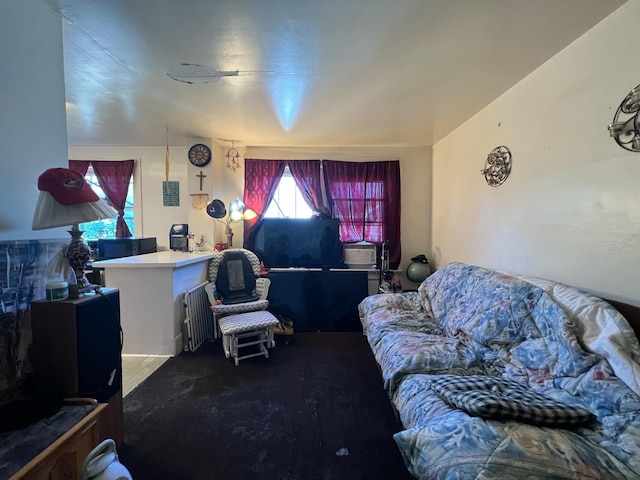 living area with radiator and carpet flooring