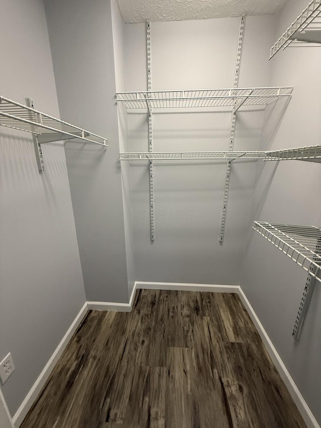 spacious closet with wood finished floors