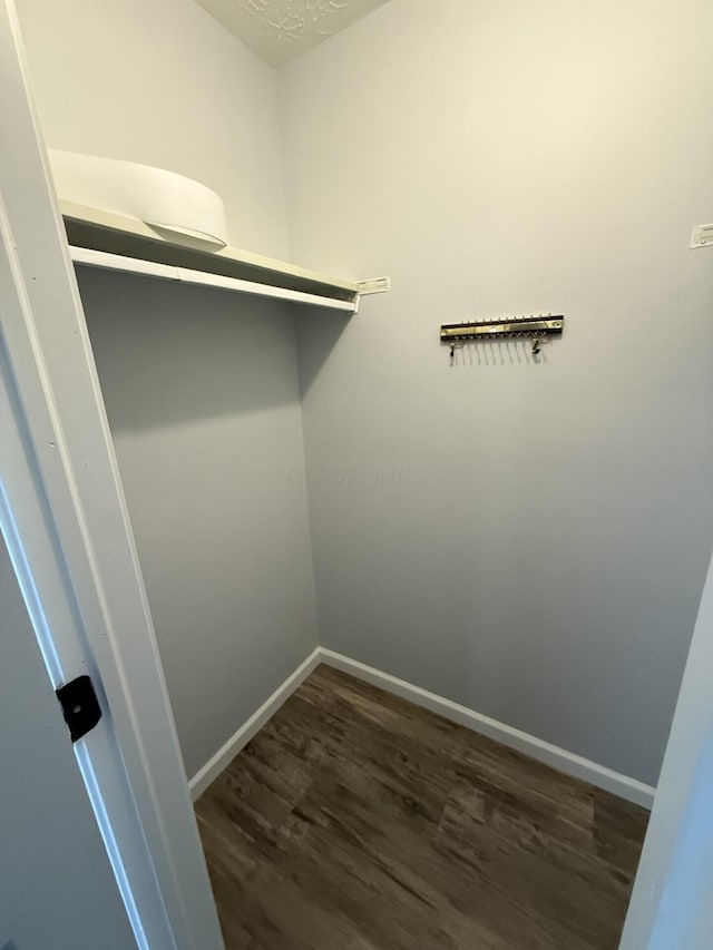 walk in closet with dark wood-style floors