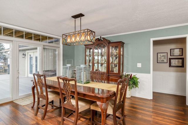 dining room with crown molding, a wainscoted wall, dark wood finished floors, and a textured ceiling