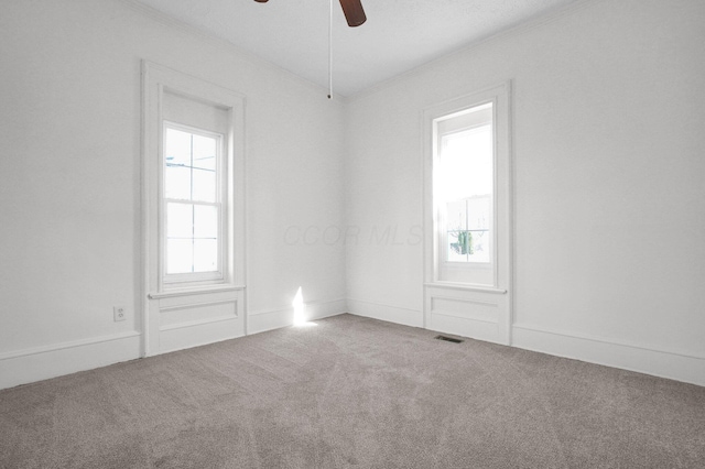 carpeted spare room with ceiling fan, visible vents, and ornamental molding