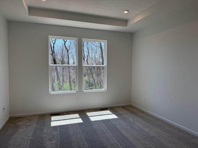 empty room featuring a textured ceiling, carpet, baseboards, visible vents, and a raised ceiling