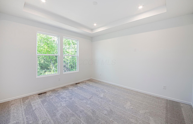 603 Mill Stone Dr Lot 2257, Sunbury, OH 43074 - spare room featuring a tray ceiling, baseboards, carpet flooring, and recessed lighting
