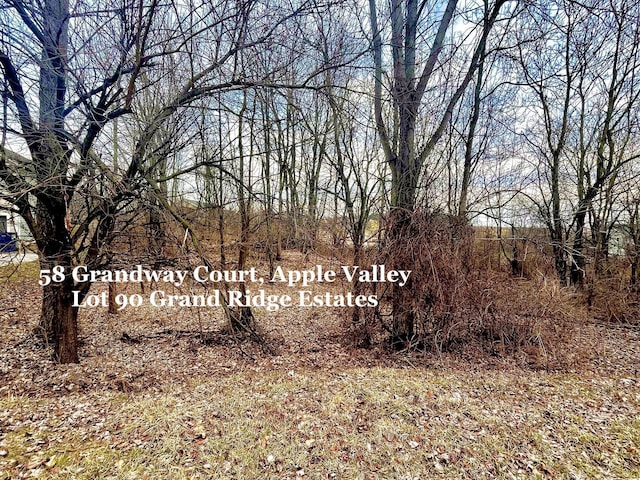 58 Grandway Ct, Howard OH, 43028 land for sale