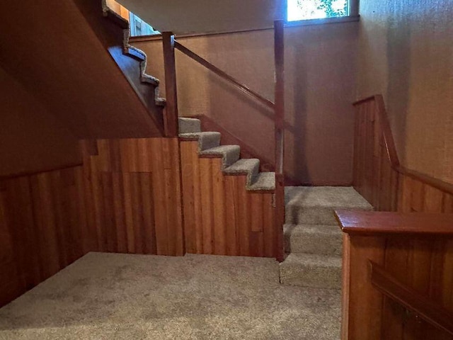 stairs with carpet flooring