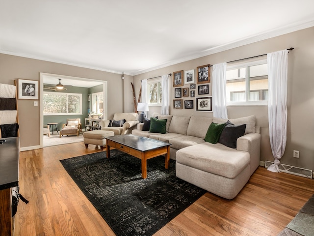 living area featuring ornamental molding, baseboards, and wood finished floors