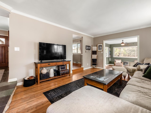 living area with baseboards, wood finished floors, and crown molding