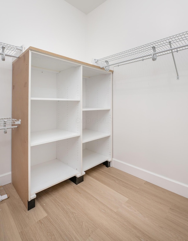 spacious closet with light wood-type flooring