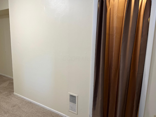 interior details featuring carpet floors, baseboards, and visible vents