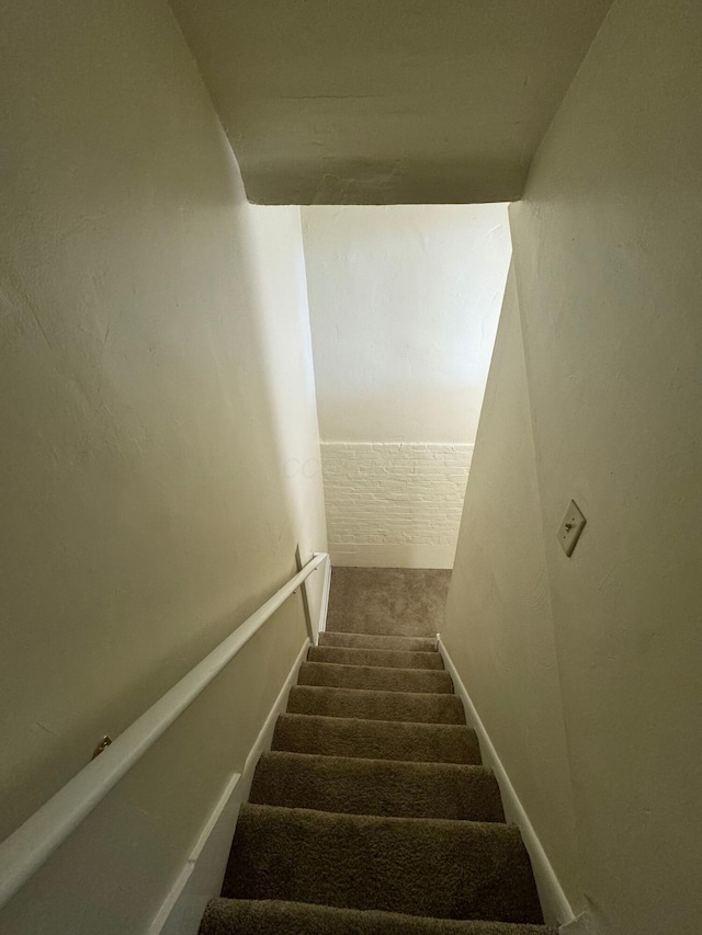 staircase with carpet