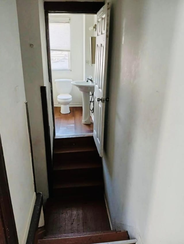 staircase featuring wood finished floors
