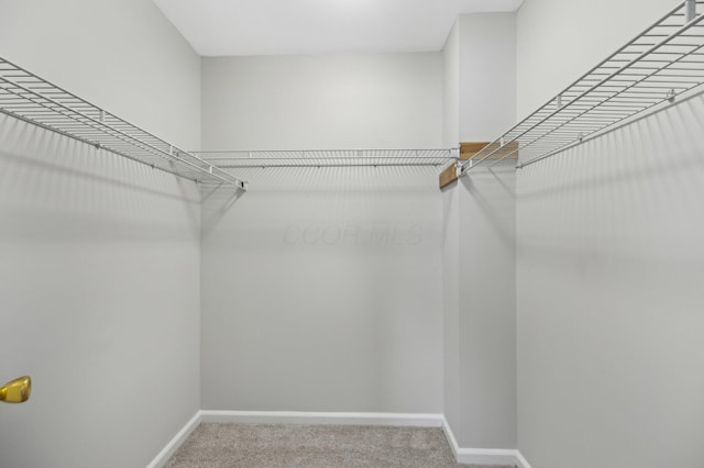 spacious closet with carpet