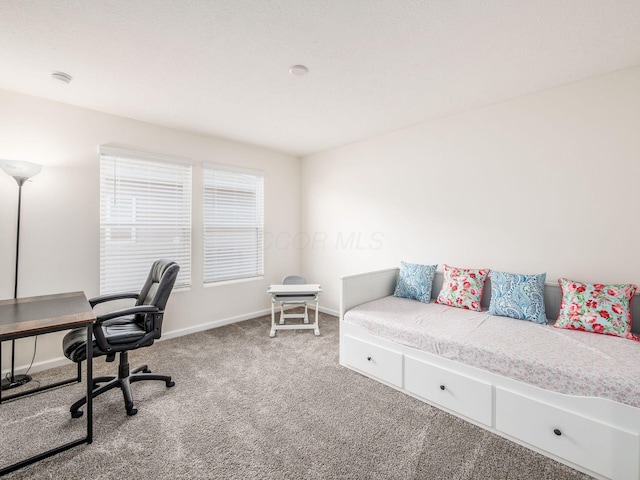 carpeted office with baseboards