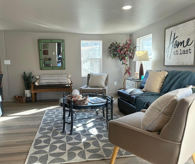 living room with baseboards and wood finished floors