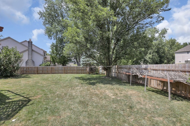 view of yard with a fenced backyard