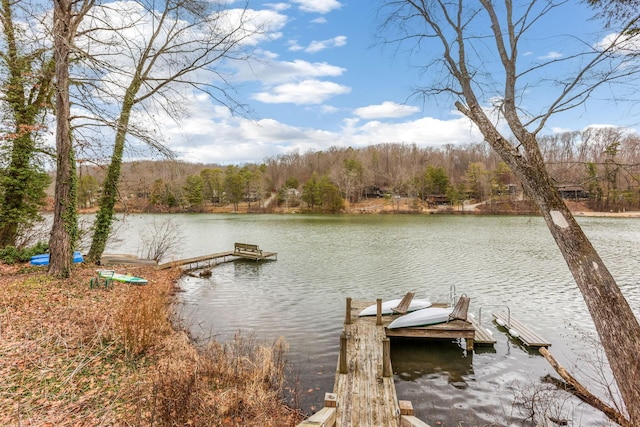 view of dock featuring a water view and a forest view