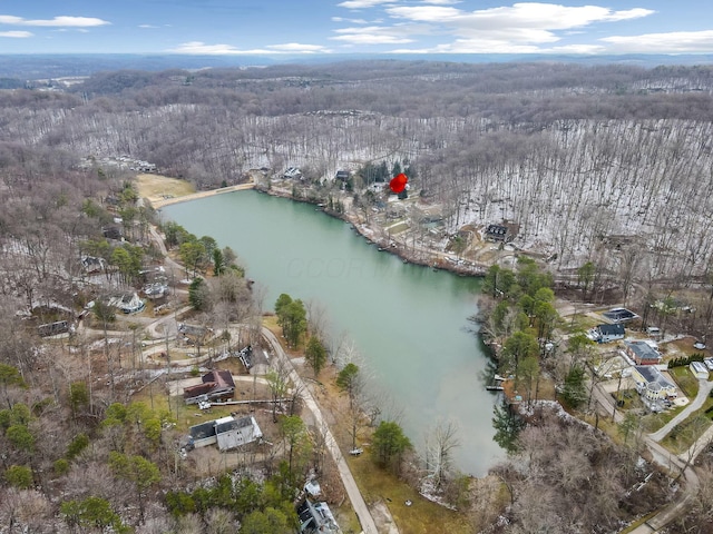 drone / aerial view featuring a water view and a forest view