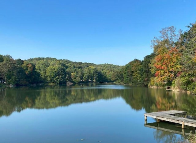 view of dock with a water view and a forest view