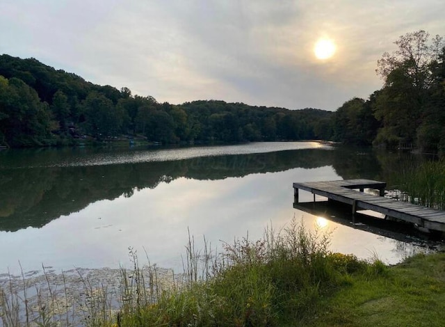 view of dock featuring a water view and a forest view