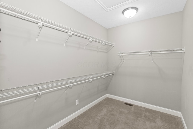 spacious closet featuring carpet floors and visible vents