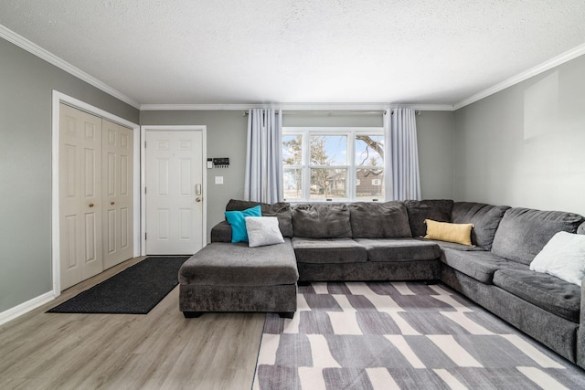 living room with crown molding, a textured ceiling, and wood finished floors