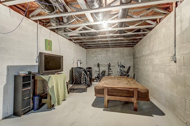 3093 Briar Ridge Rd, Columbus, OH 43232 - view of basement
