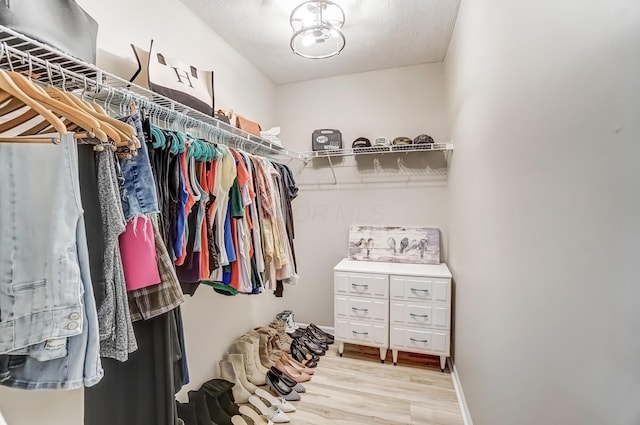 walk in closet with light wood-type flooring