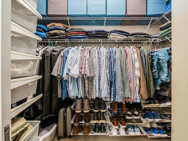 view of spacious closet