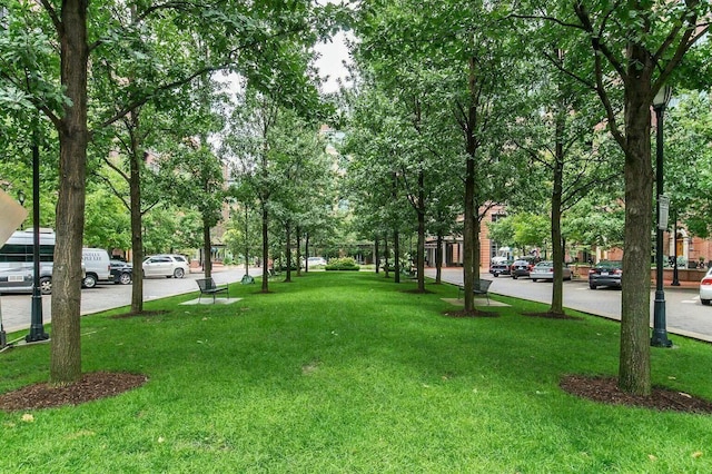 view of community with a lawn