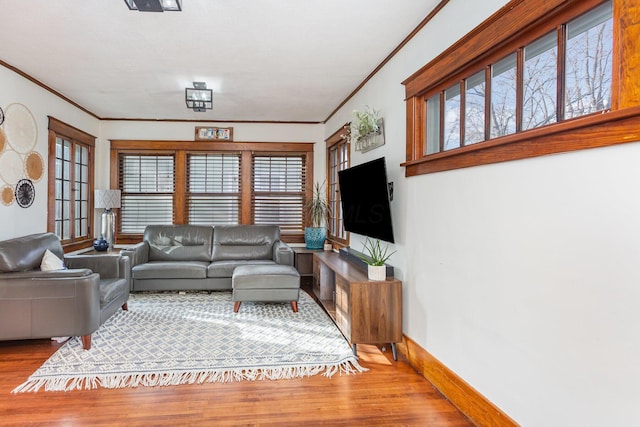 living area with ornamental molding, plenty of natural light, wood finished floors, and baseboards