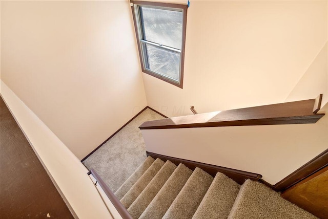 stairway with carpet and baseboards