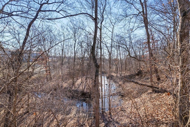 view of local wilderness with a wooded view