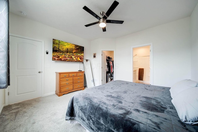 carpeted bedroom with ceiling fan, a walk in closet, a closet, and ensuite bathroom