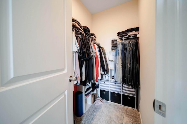 walk in closet featuring carpet floors