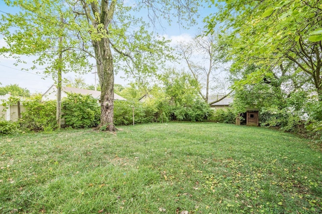 view of yard with an outdoor structure