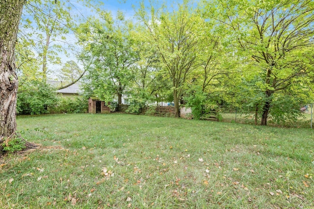 view of yard featuring an outdoor structure