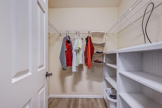 walk in closet featuring wood finished floors