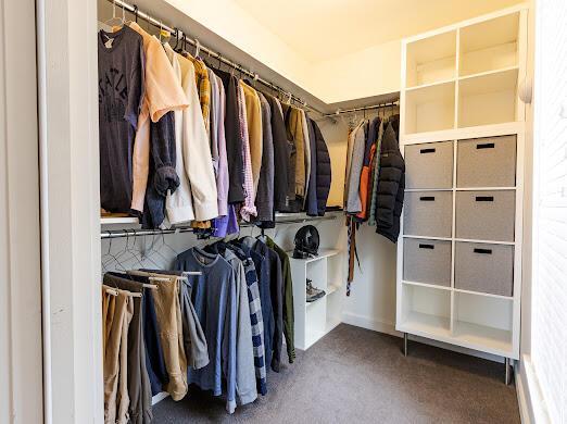 spacious closet featuring carpet floors