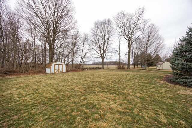 view of yard featuring a shed and an outdoor structure