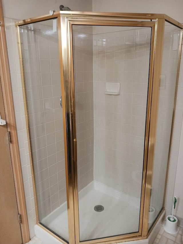 full bathroom with a shower stall