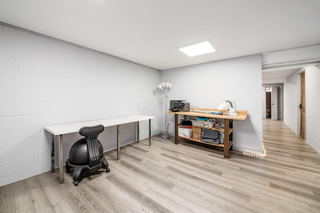 office featuring wood finished floors