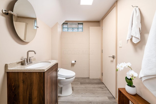 bathroom featuring toilet, vanity, and wood finished floors