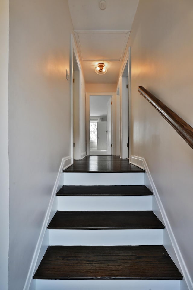 staircase featuring baseboards