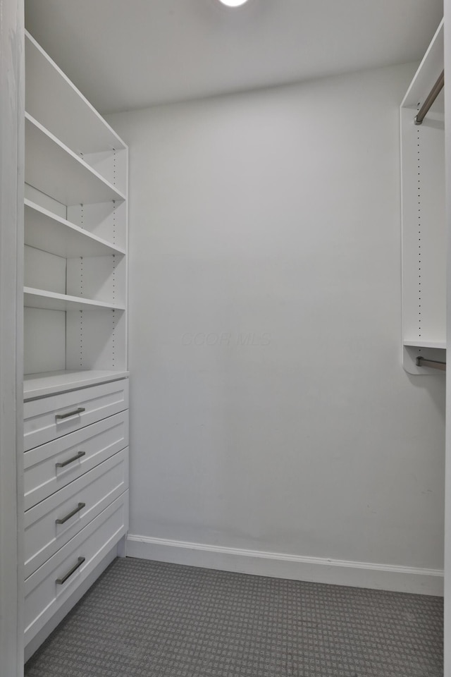 spacious closet featuring carpet flooring