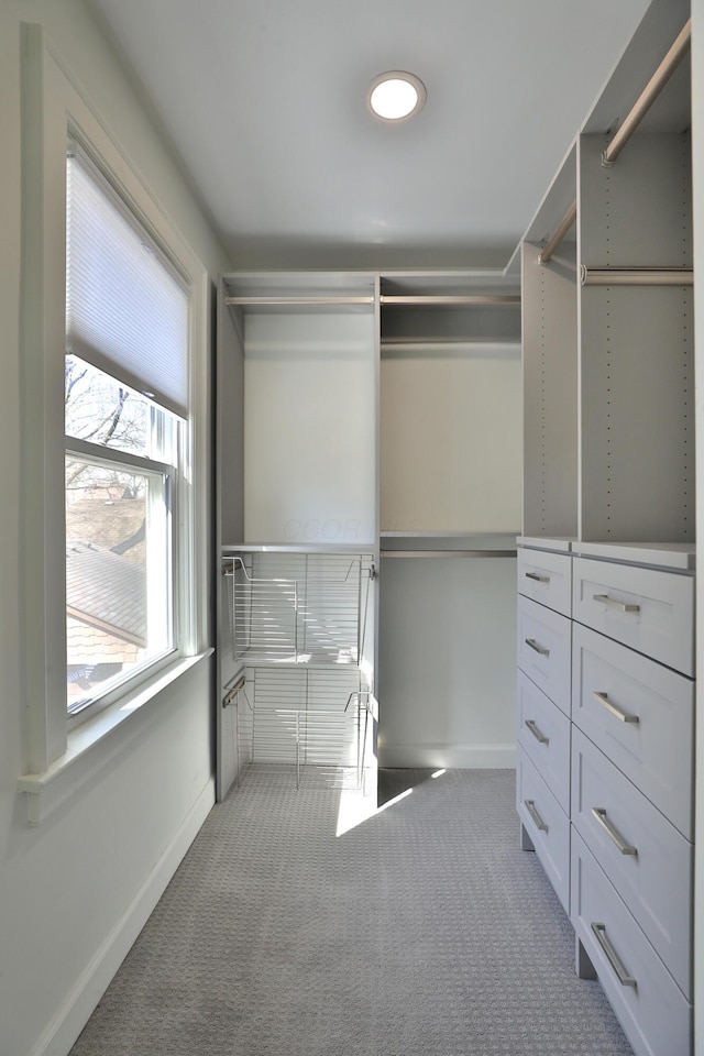 walk in closet featuring carpet floors