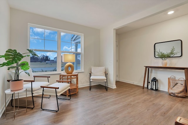 living area featuring light wood-style floors, baseboards, and recessed lighting