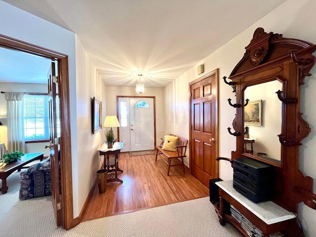 carpeted entryway featuring baseboards and wood finished floors