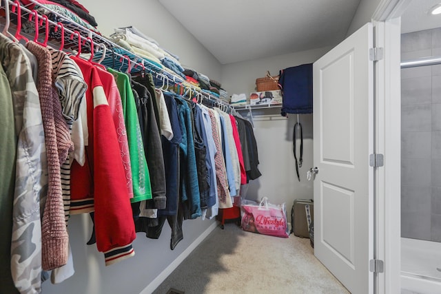 spacious closet featuring carpet flooring