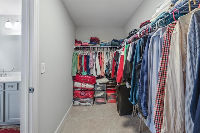 spacious closet with carpet floors and a sink