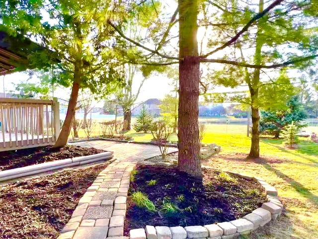 view of yard with a deck